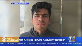 Man Arrested In Irvine Assault Caught On Video