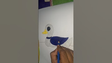 How to Draw a Cute Duck | Easy Drawing Tutorial for Beginners