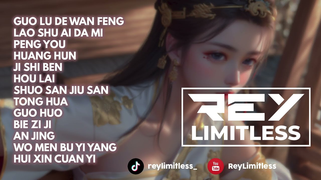 Guo Lu De Wan Feng Breakbeat Mandarin Mixtape Viral 2024 | Nonstop by ReyLimitless