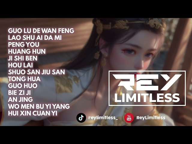 Guo Lu De Wan Feng Breakbeat Mandarin Mixtape Viral 2024 | Nonstop by ReyLimitless class=