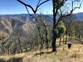 Green gully track oxley wild rivers national park