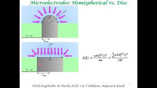 Microelectrodes