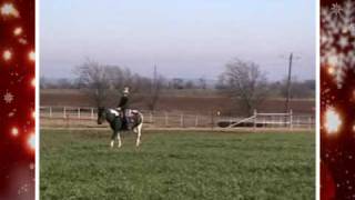 Sold~Dominoe~Black & White Gelding/ Trail Horse For Sale