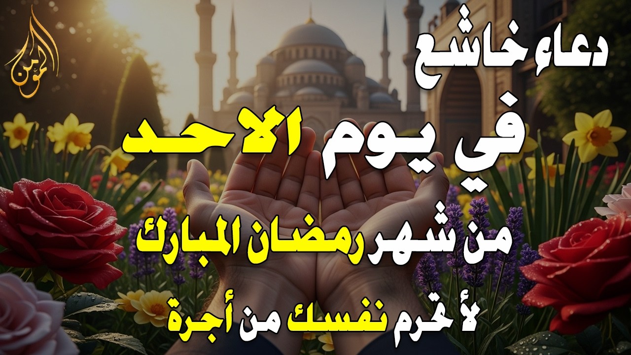دعاء فى يوم الاحد دعاء مستجاب  في شهر رمضان للرزق والشفاء العاجل وقضاء الحوائج 🤲(4k)