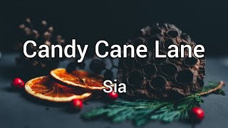 Candy Cane Lane - Sia | Lyrics [1 hour]