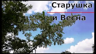 ,,Старушка и Весна,, Аудио рассказ