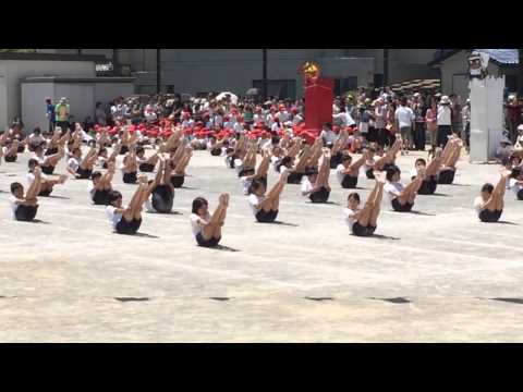 菜々美運動会その1