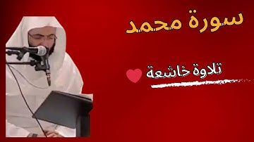احمد البشر سورة محمد رمضان 1445