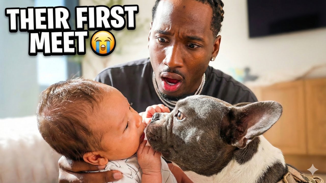 Our Dog Meets the Baby for the First Time… Her Reaction Melted Us 🥹❤️