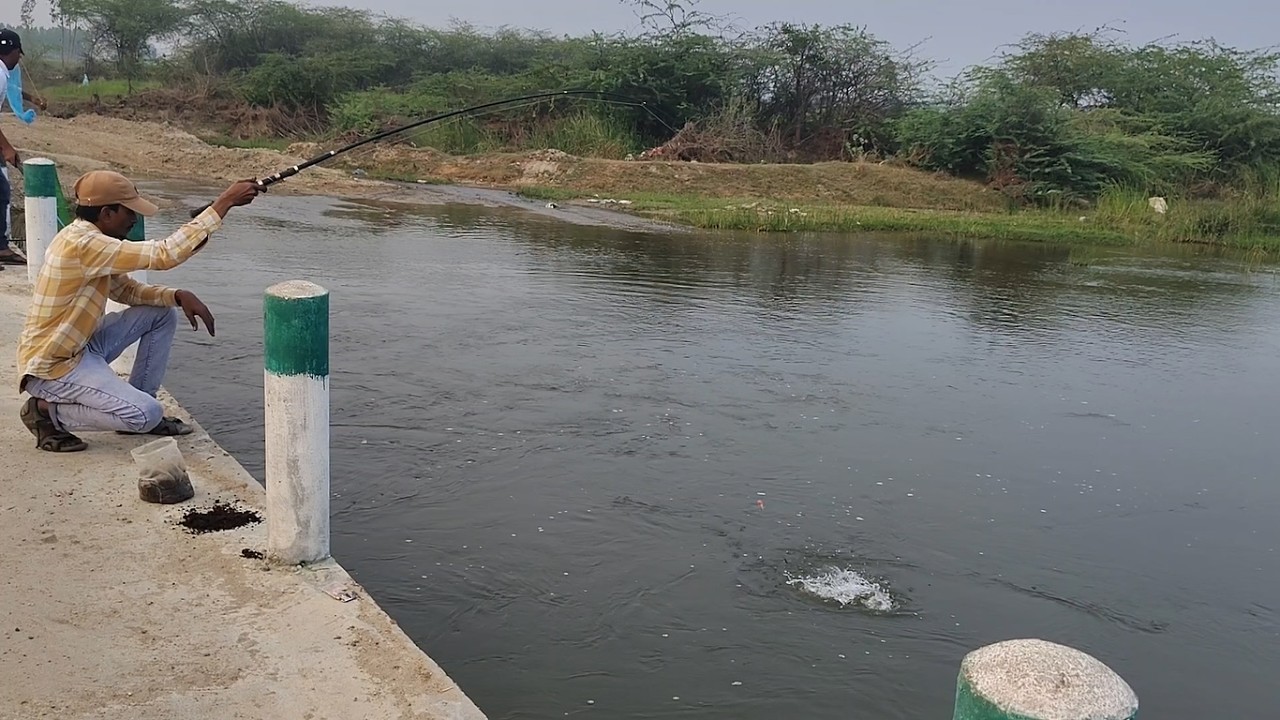 "Mastering Tilapia Fishing: Secrets from the Village Stream That Will Change Your Catch Forever!"