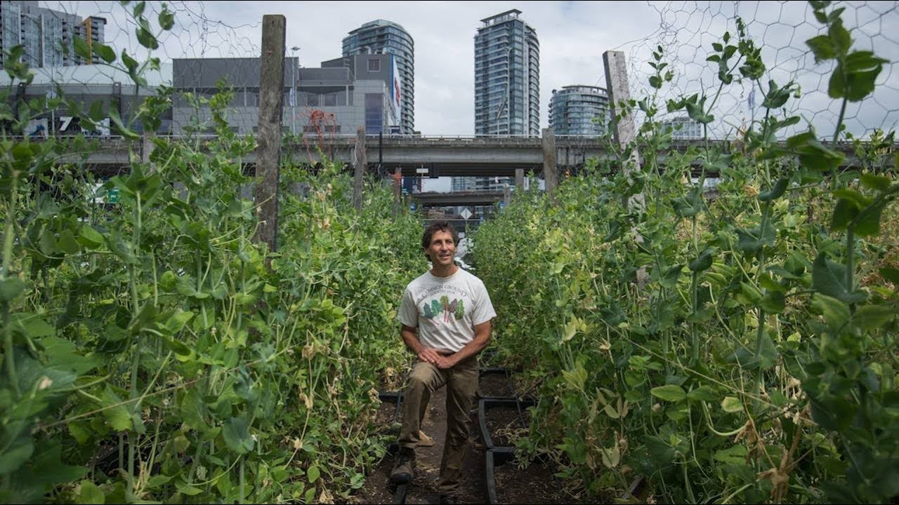 Vancouver urban farm combines agriculture with social goals