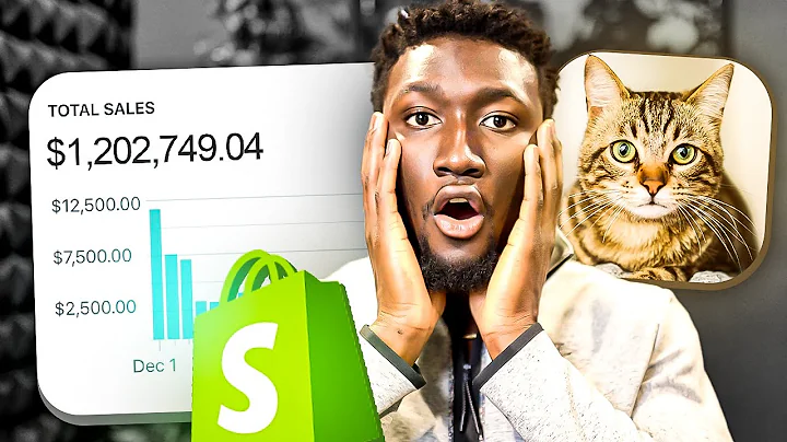 This Dropshipping Brand Makes $1.2m per Month