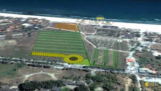 Sunwaves 10 Location