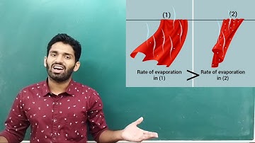 Class 4 Science, Chapter-3 (SA 2) Air, Water and Weather (Water) Part 3