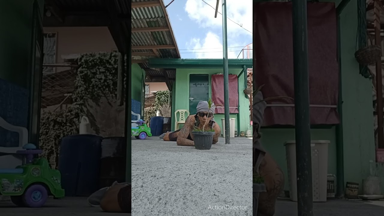 FILIPINO BOLD MOVIE ILOCANO MAN VERSION😂 rockstar kickboxing