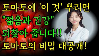 🍅 토마토의 모든 것! 효능부터 찰떡궁합 &amp; 안맞는 궁합까지! #토마토 #토마토효능 #음식궁합 #건강정보 #건강상식 #라이코펜 #항산화 #다이어트 #꿀팁 #건강 #ai활용