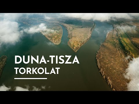 Dr. Molnár Dániel I Tisza Párt I Európai Parlamenti Képviselőjelölt