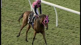 Fasano Eagle Farm 25th March 2020