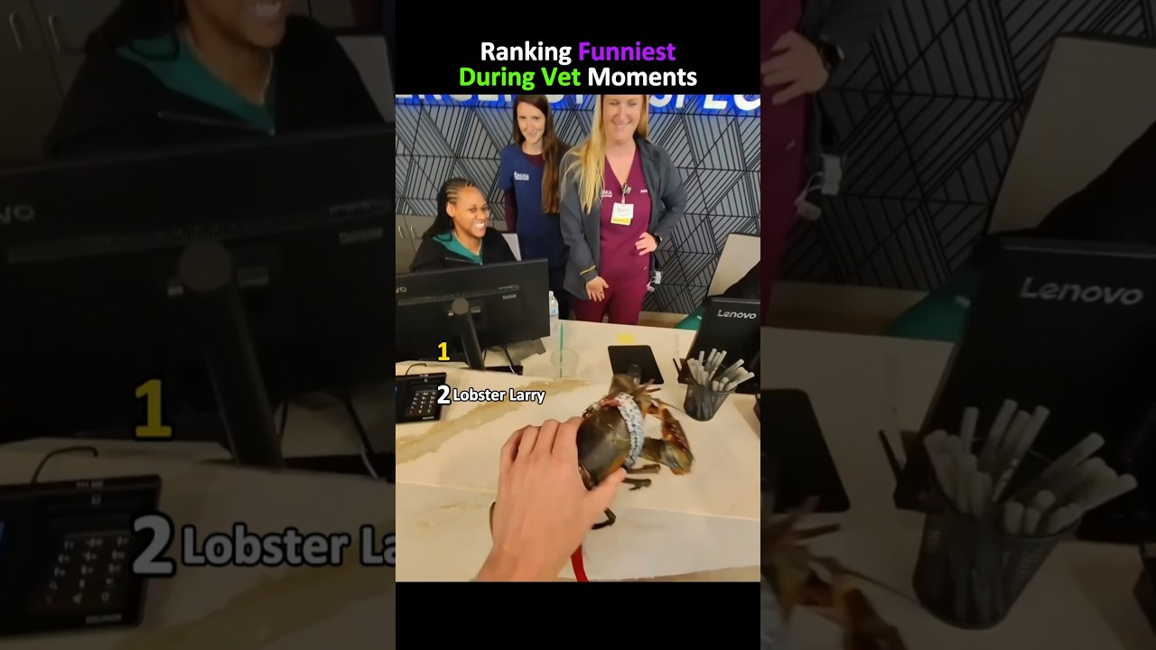 Funny 🦞 Moments