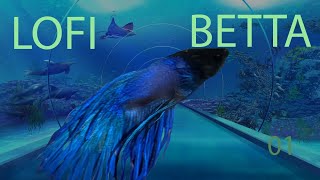 Download Lagu Betta Aquarium + Lofi Music Mix To Relax 01