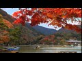 愛の終わりのはじまり ダリア