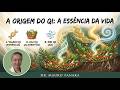 A Origem do Qi