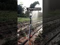 automatic watering system for plants _yuzuak atom 35 rain gun sprinkler irrigation#agro #agriculture
