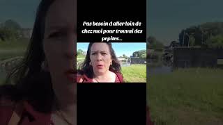 Pas Besoin D Aller Loin De Chez Moi Pour Trouvai Des Pépites...