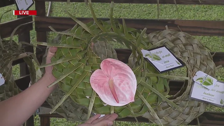 Take2:Farmer's Market Find with Cocokealohi Coconut Hats Pt.2