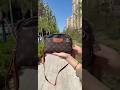 Monogram Horizontal Phone Bag | Stylish Small Crossbody for Everyday Use" #shortsfeed