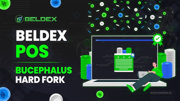 BeldexPOS Bucephalus Hardfork: It