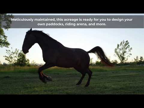 Equestrian Property for Sale Near Wellington Florida | Call us at 561-753-0135