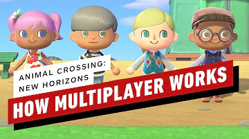 Lze ve hře Animal Crossing hrát ve více hráčích?