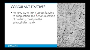 Rigaku Webinar: X-ray CT for Materials & Life Science 10 - Preparing Life Science Samples