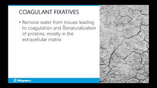 Rigaku Webinar: X-ray CT for Materials & Life Science 10 - Preparing Life Science Samples