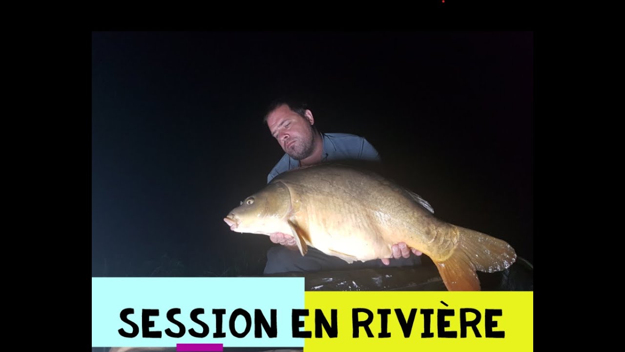 Pêche de la carpe en petite rivière . YouTube