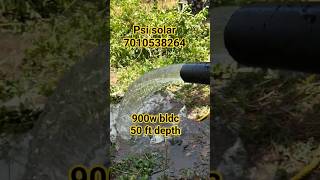 900w bldc pump/ 50 ft openwell #agriculture ,#farming ,#solar