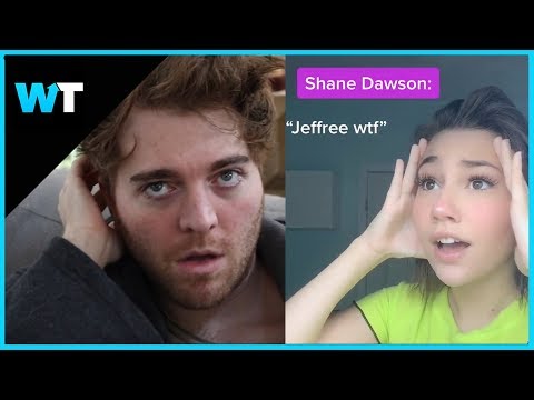 5 Best TIK TOKs About Shane Dawson and Jeffree Star