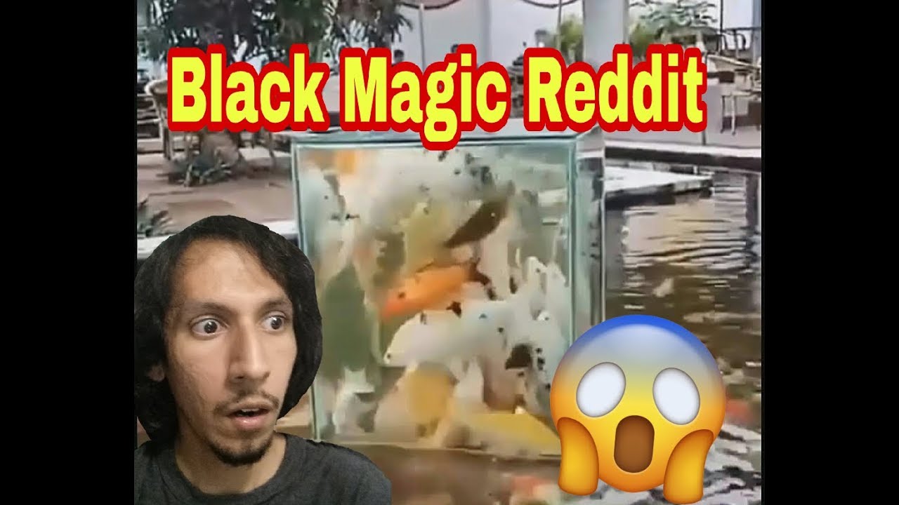 Black Magic Reddit How Did He Do That YouTube Black Magic Reddit How Did He Do That YouTube