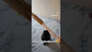 jab dekho tab shaitani 😝#blackretriever #coco #cutebaby #pets #cutedog #shorts #funny #nehravlogs