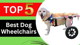 Top 5 Best Dog Wheelchairs in 2024