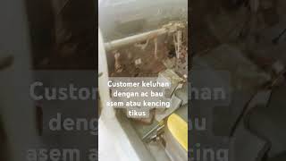 Jaga Mobil Kesayangan Anda Teman Jgan Sdane Tikus Jadi Salah Satu Penumpang Kalian acbauactks