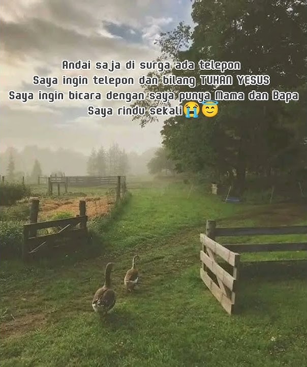 Story Wa Doncepo Rip brother