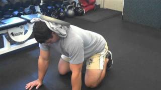 Neck Weighted Quadruped Neck Plank
