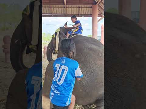 พี่เมย์นอนลง ให้น้องลง