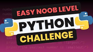 Celebrity Beginner Python (Noob Level: Unlocked) Net Worth