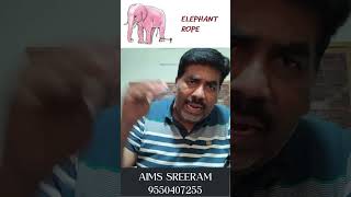 Full The Elephant Rope 🐘 | A Powerful Moral Story That Will Change Your Mindset! News