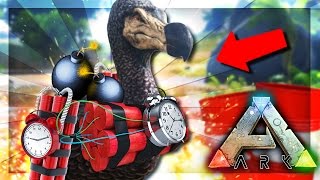 ARK: Survival Evolved Server - EXPLOSIVE DODO BIRDS? #35