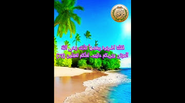 سورة البقرة {72~74}