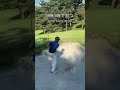 状況別バンカー